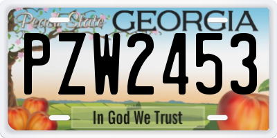 GA license plate PZW2453