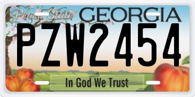 GA license plate PZW2454