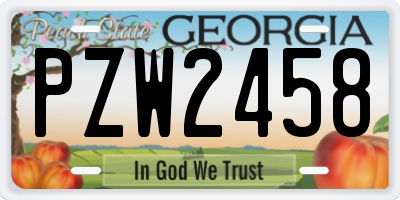 GA license plate PZW2458