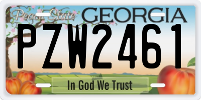 GA license plate PZW2461
