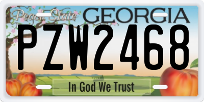 GA license plate PZW2468