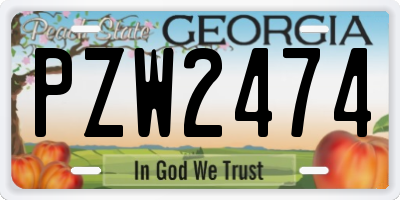 GA license plate PZW2474