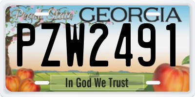 GA license plate PZW2491