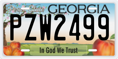 GA license plate PZW2499