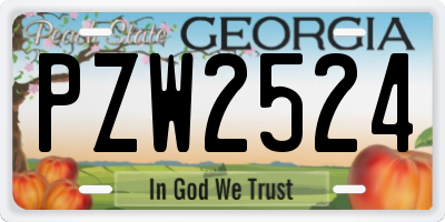 GA license plate PZW2524