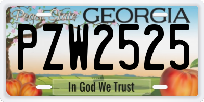 GA license plate PZW2525