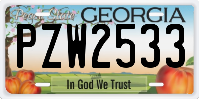 GA license plate PZW2533