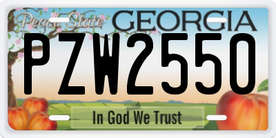 GA license plate PZW2550
