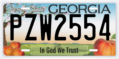 GA license plate PZW2554