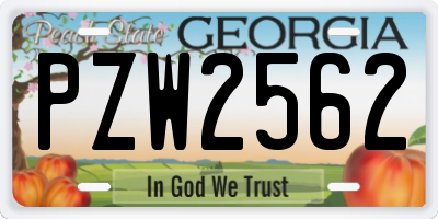 GA license plate PZW2562