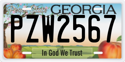GA license plate PZW2567