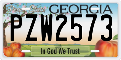 GA license plate PZW2573