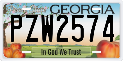 GA license plate PZW2574