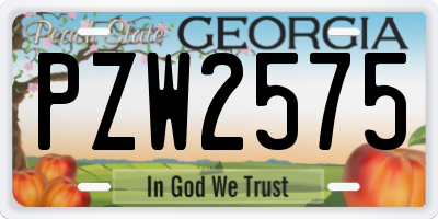 GA license plate PZW2575
