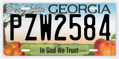 GA license plate PZW2584