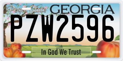 GA license plate PZW2596