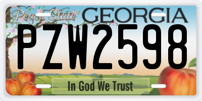 GA license plate PZW2598