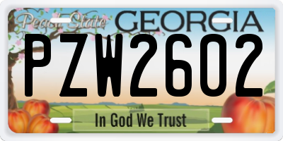 GA license plate PZW2602