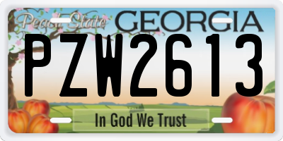 GA license plate PZW2613