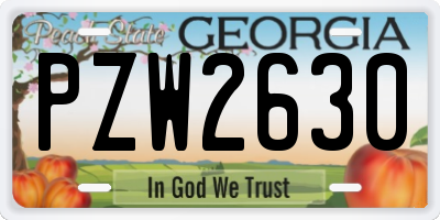 GA license plate PZW2630