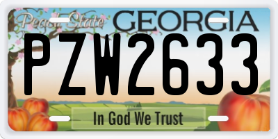 GA license plate PZW2633