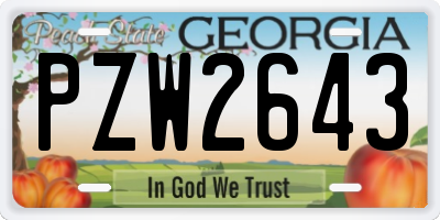 GA license plate PZW2643