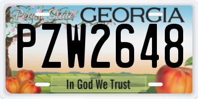 GA license plate PZW2648