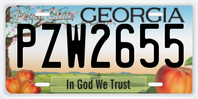 GA license plate PZW2655