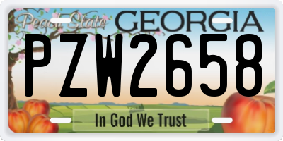 GA license plate PZW2658