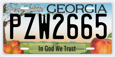 GA license plate PZW2665
