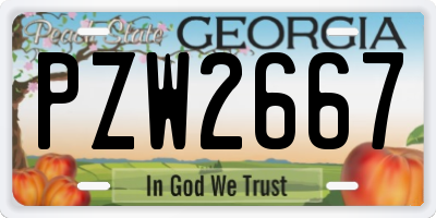 GA license plate PZW2667