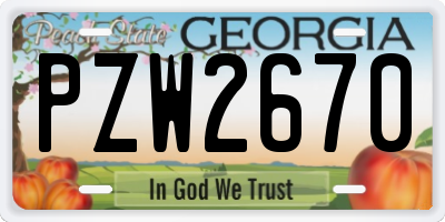 GA license plate PZW2670