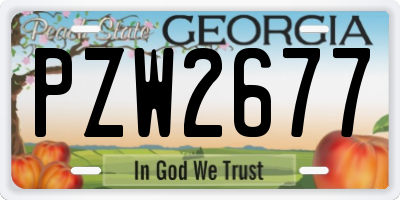 GA license plate PZW2677