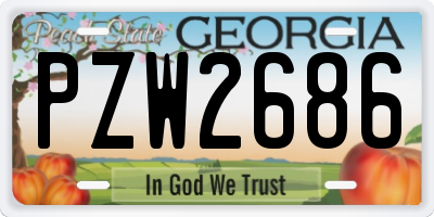 GA license plate PZW2686