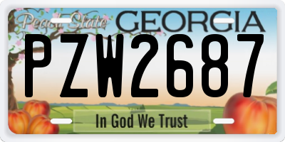 GA license plate PZW2687