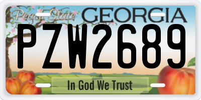GA license plate PZW2689