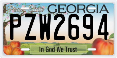 GA license plate PZW2694