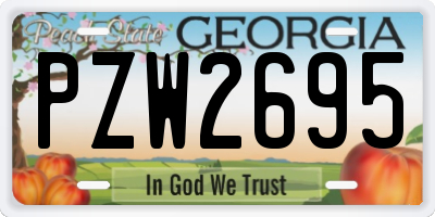 GA license plate PZW2695