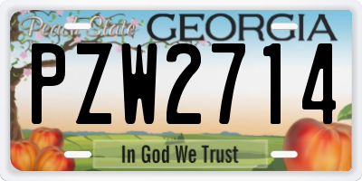 GA license plate PZW2714