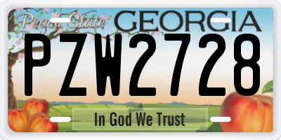 GA license plate PZW2728