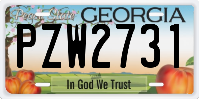 GA license plate PZW2731