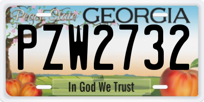 GA license plate PZW2732