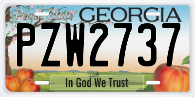 GA license plate PZW2737