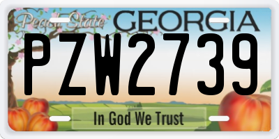 GA license plate PZW2739