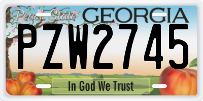 GA license plate PZW2745