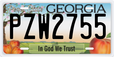 GA license plate PZW2755