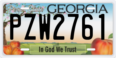 GA license plate PZW2761
