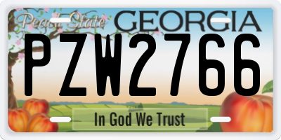 GA license plate PZW2766