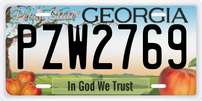 GA license plate PZW2769