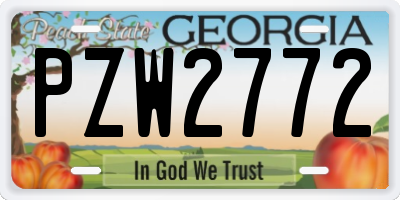 GA license plate PZW2772